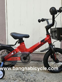 รถเด็ก Coyote Peelus 12 นิ้ว ดิสเบรคหลัง