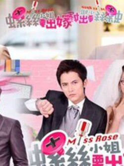 Miss Rose [เจ้านายสุดโหด กับ สาวโสดหารัก] พากย์ไทย 6Dvd [สนุกมาก ๆ ]