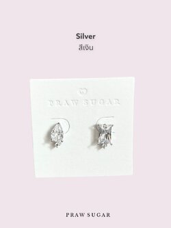 สีเงิน Silver