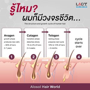 รู้ไหม ผมเราก็มีวงจรชีวิต !!
