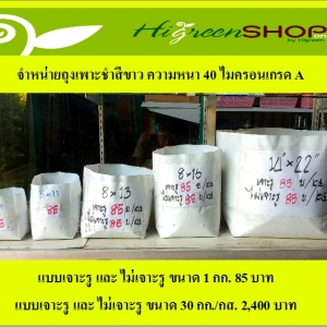 ถุงเพาะชำ