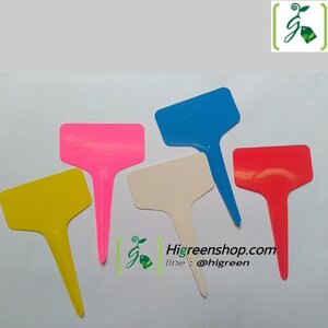 ป้ายปักชื่อต้นไม้