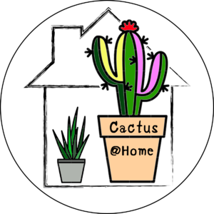 ร้านcactulentseed