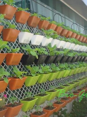 กระถางต้นไม้สวนแนวตั้ง www.bio-greens.com