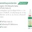 สเปรย์กันยุงออร์แกนิค 250 ml.