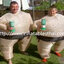 sumo2