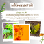 บาลานซี่ 30+ แอนไท เอจจิ้ง เฟซ วอช แอนด์ เมคอัพรีมูฟเวอร์ สบู่เหลวล้างหน้า พร้อมล้างเครื่องสำอางในขั้นตอนเดียว สำหรับผู้ที่มีอายุ 30 ปีขึ้นไป สูตรป้องกันริ้วรอยก่อนวัย Balansy 30+ Anti-Aging Face Wash and Makeup Remover