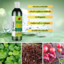 โทนเนอร์ 9 Herbal - Natural Miracle Water Toner จากสมุนไพรธรรมชาติ 9 ชนิด